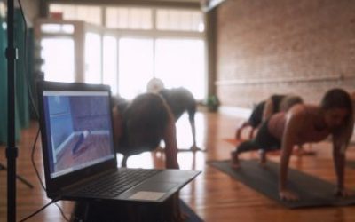Yoga & Meditation ~ Virtual and Video Library